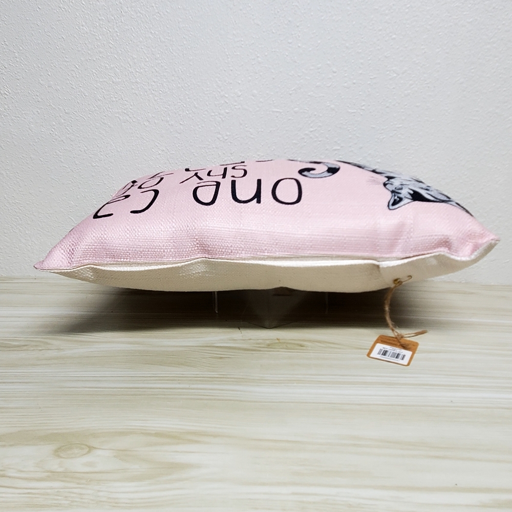 Cat Throw Pillow In Pink Canvas Fabric wQuote "One Cat Shy of Crazy." - Picture 5 of 7